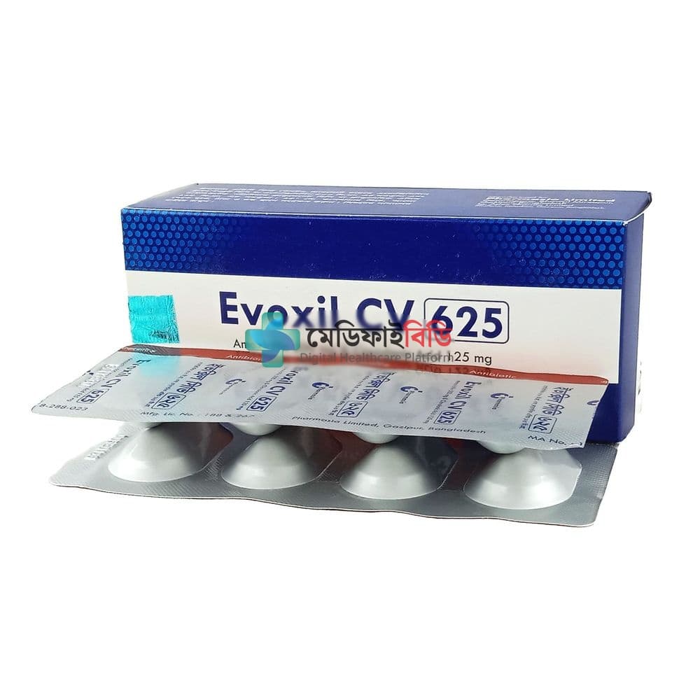 Evoxil CV 500mg+125mg — Amoxicillin + Clavulanic Acid (Clavulanate)